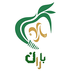 لوگو کلینیک دندانپزشکی باران - فوتر